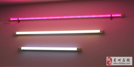 点亮绿色未来 LED节能灯与环保装饰材料的批发与零售新趋势